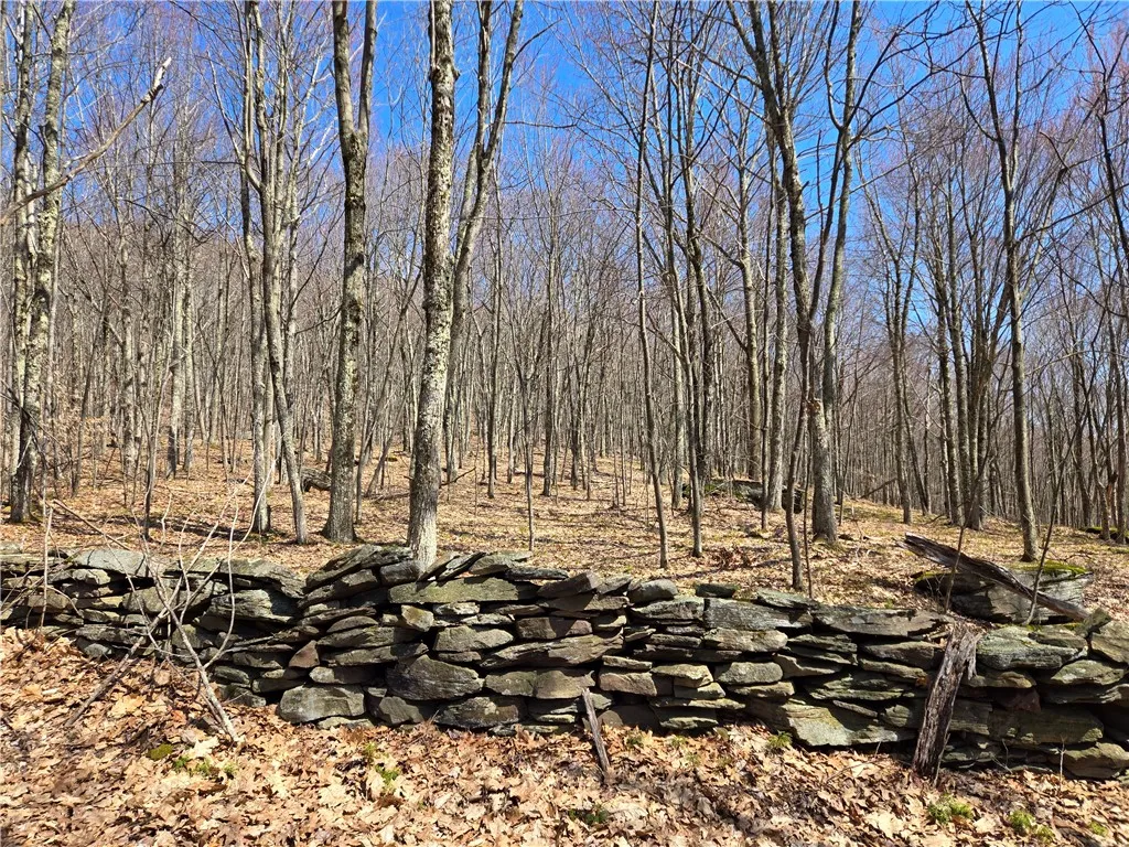 Lot 25 Kara Lane, Bovina, New York 13740, Bovina, New York 13740, ,Land,For Sale,Lot 25 Kara Lane, Bovina, New York 13740,R1602217