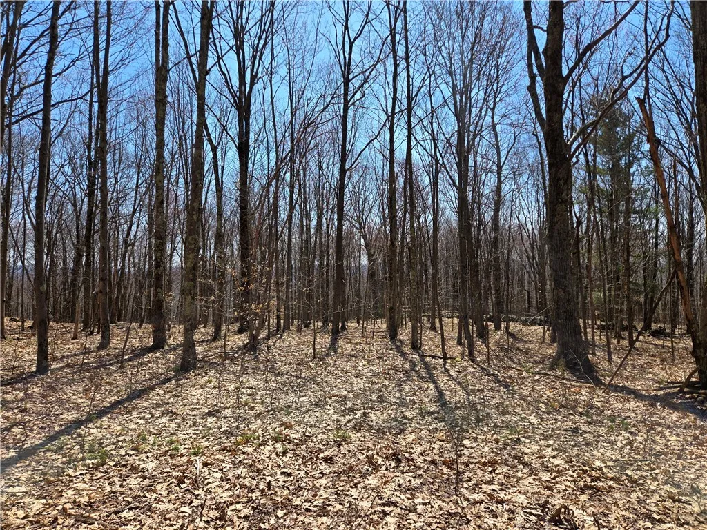 Lot 25 Kara Lane, Bovina, New York 13740, Bovina, New York 13740, ,Land,For Sale,Lot 25 Kara Lane, Bovina, New York 13740,R1602217