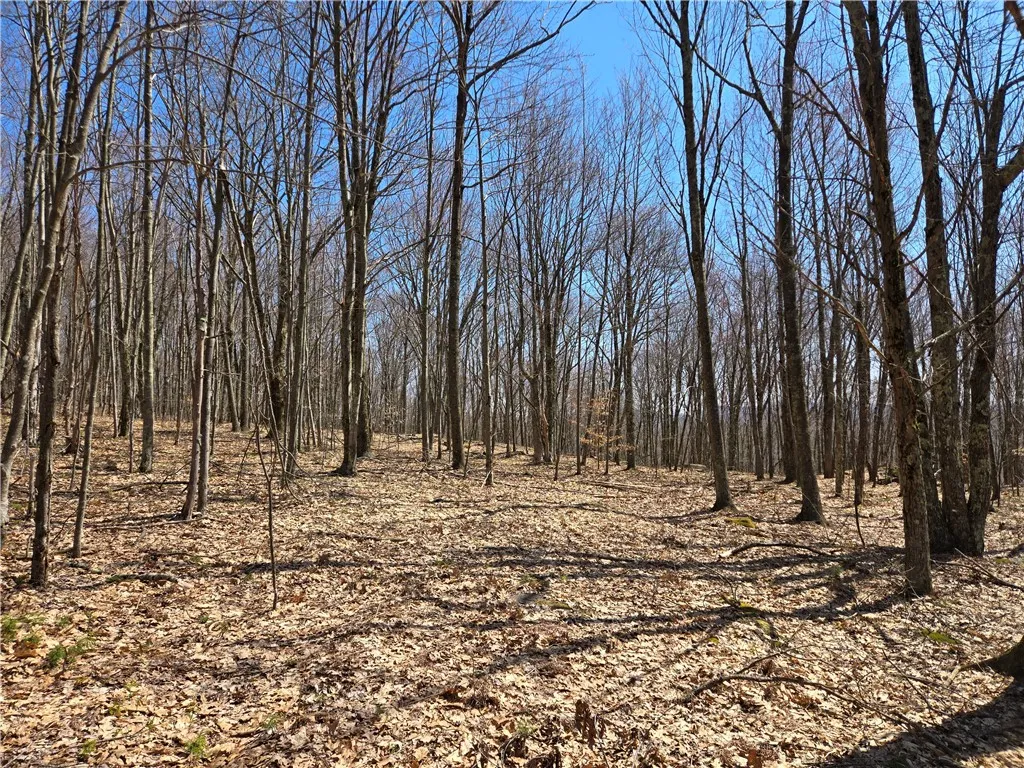 Lot 25 Kara Lane, Bovina, New York 13740, Bovina, New York 13740, ,Land,For Sale,Lot 25 Kara Lane, Bovina, New York 13740,R1602217