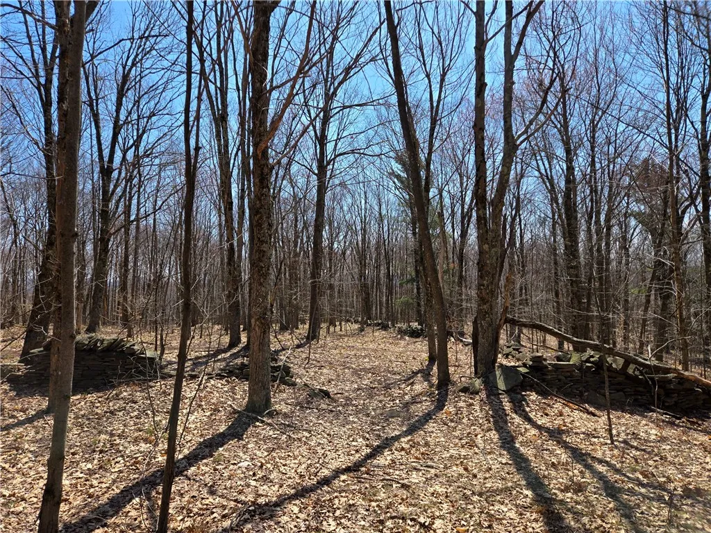 Lot 25 Kara Lane, Bovina, New York 13740, Bovina, New York 13740, ,Land,For Sale,Lot 25 Kara Lane, Bovina, New York 13740,R1602217