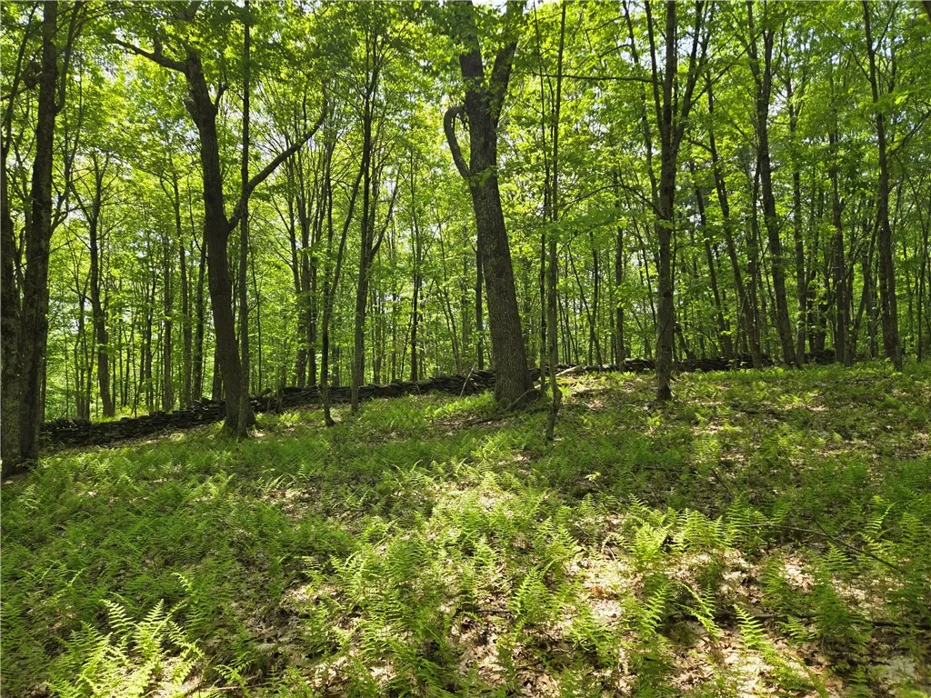 Lot 25 Kara Lane, Bovina, New York 13740, Bovina, New York 13740, ,Land,For Sale,Lot 25 Kara Lane, Bovina, New York 13740,R1602217