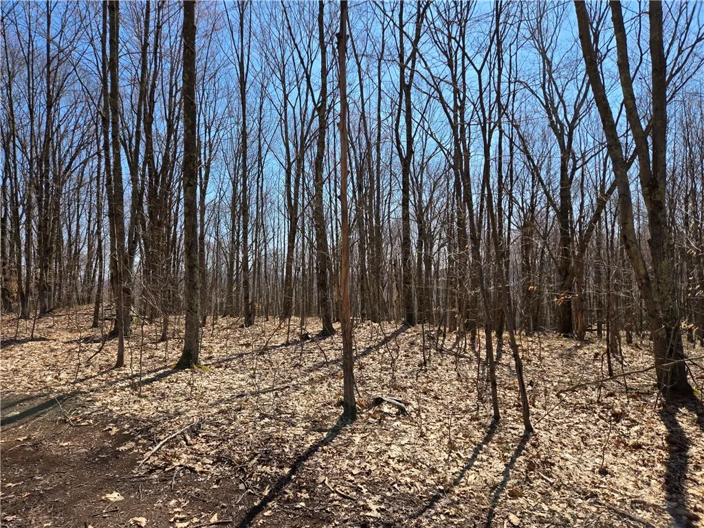 Lot 25 Kara Lane, Bovina, New York 13740, Bovina, New York 13740, ,Land,For Sale,Lot 25 Kara Lane, Bovina, New York 13740,R1602217