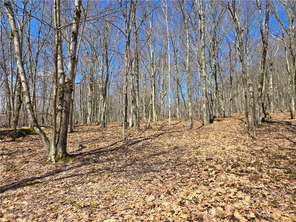 Lot 25 Kara Lane, Bovina, New York 13740, Bovina, New York 13740, ,Land,For Sale,Lot 25 Kara Lane, Bovina, New York 13740,R1602217