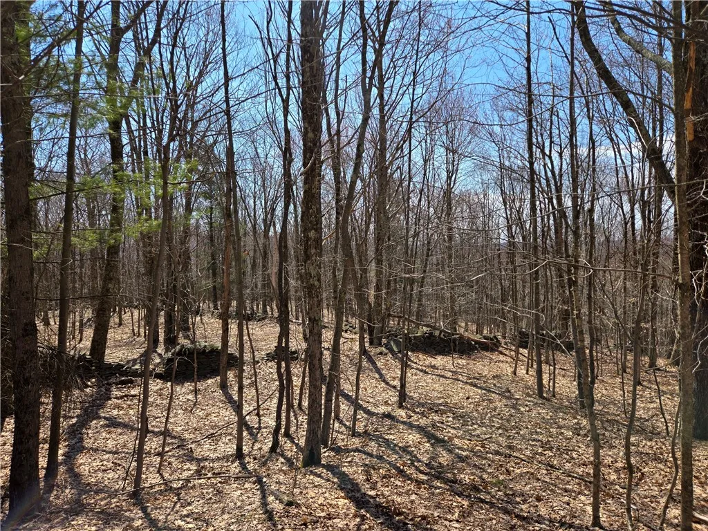 Lot 25 Kara Lane, Bovina, New York 13740, Bovina, New York 13740, ,Land,For Sale,Lot 25 Kara Lane, Bovina, New York 13740,R1602217