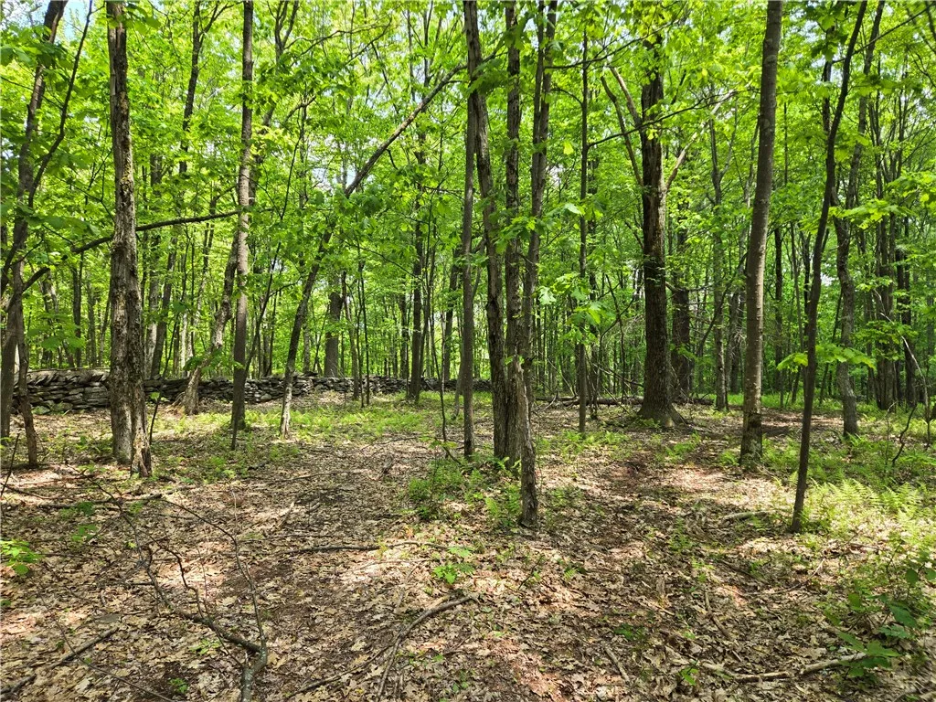 Lot 25 Kara Lane, Bovina, New York 13740, Bovina, New York 13740, ,Land,For Sale,Lot 25 Kara Lane, Bovina, New York 13740,R1602217
