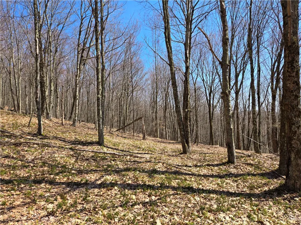 Lot 25 Kara Lane, Bovina, New York 13740, Bovina, New York 13740, ,Land,For Sale,Lot 25 Kara Lane, Bovina, New York 13740,R1602217