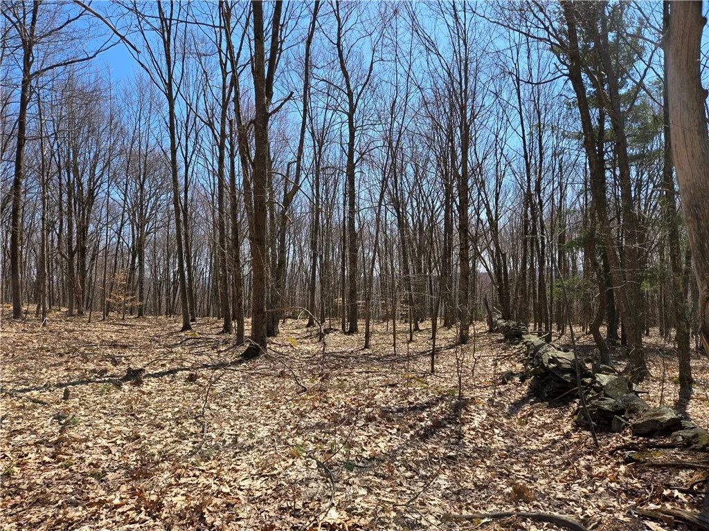 Lot 25 Kara Lane, Bovina, New York 13740, Bovina, New York 13740, ,Land,For Sale,Lot 25 Kara Lane, Bovina, New York 13740,R1602217