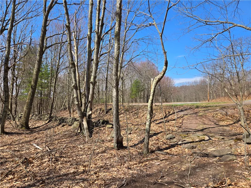 Lot 25 Kara Lane, Bovina, New York 13740, Bovina, New York 13740, ,Land,For Sale,Lot 25 Kara Lane, Bovina, New York 13740,R1602217