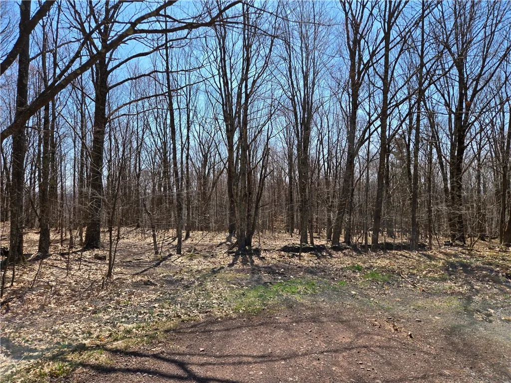 Lot 25 Kara Lane, Bovina, New York 13740, Bovina, New York 13740, ,Land,For Sale,Lot 25 Kara Lane, Bovina, New York 13740,R1602217