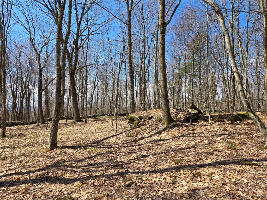 Lot 25 Kara Lane, Bovina, New York 13740, Bovina, New York 13740, ,Land,For Sale,Lot 25 Kara Lane, Bovina, New York 13740,R1602217