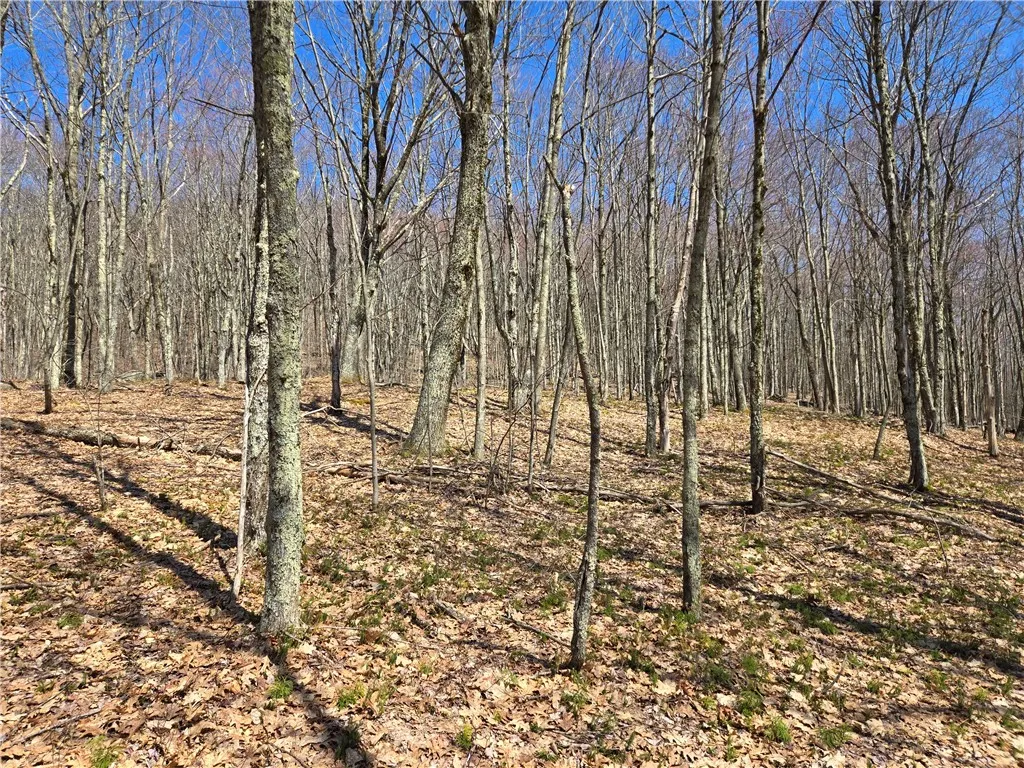 Lot 25 Kara Lane, Bovina, New York 13740, Bovina, New York 13740, ,Land,For Sale,Lot 25 Kara Lane, Bovina, New York 13740,R1602217