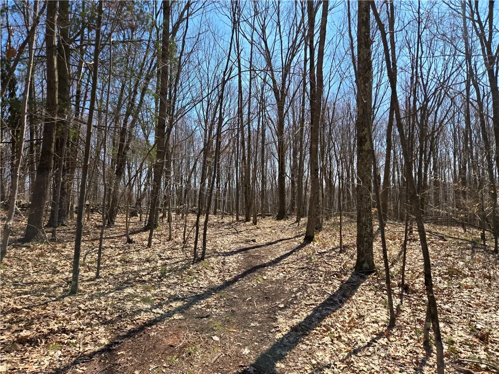 Lot 25 Kara Lane, Bovina, New York 13740, Bovina, New York 13740, ,Land,For Sale,Lot 25 Kara Lane, Bovina, New York 13740,R1602217