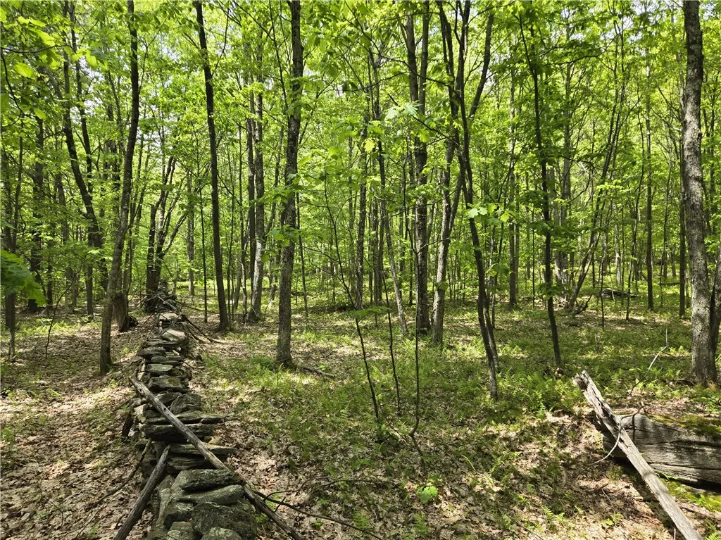 Lot 25 Kara Lane, Bovina, New York 13740, Bovina, New York 13740, ,Land,For Sale,Lot 25 Kara Lane, Bovina, New York 13740,R1602217