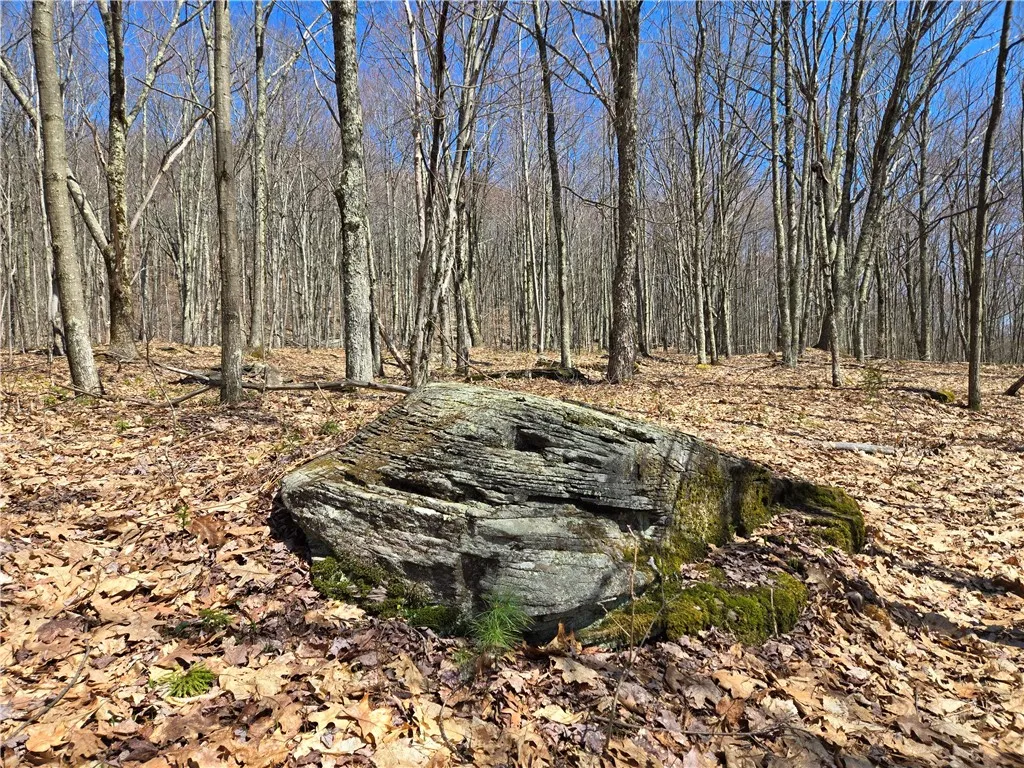 Lot 25 Kara Lane, Bovina, New York 13740, Bovina, New York 13740, ,Land,For Sale,Lot 25 Kara Lane, Bovina, New York 13740,R1602217