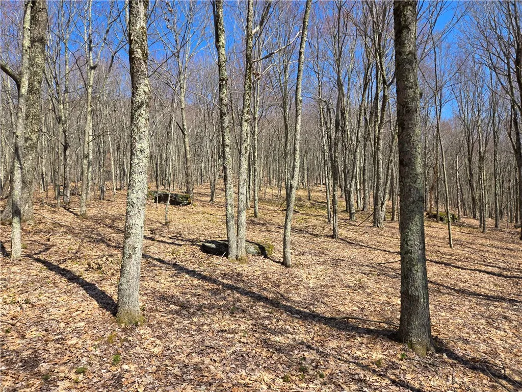 Lot 25 Kara Lane, Bovina, New York 13740, Bovina, New York 13740, ,Land,For Sale,Lot 25 Kara Lane, Bovina, New York 13740,R1602217