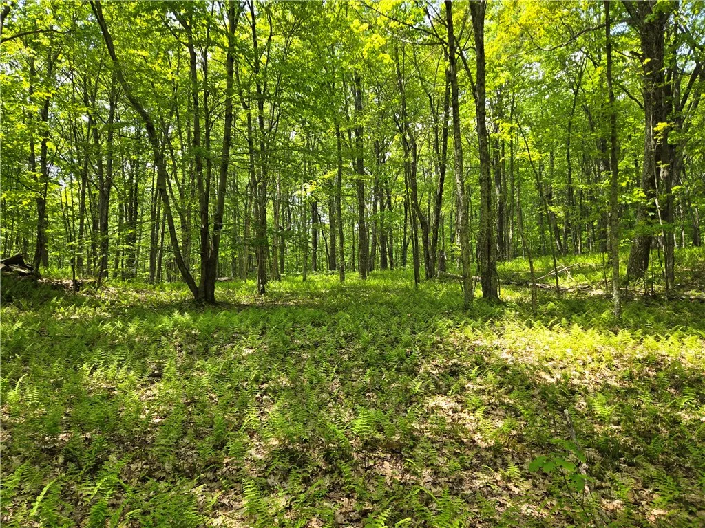 Lot 25 Kara Lane, Bovina, New York 13740, Bovina, New York 13740, ,Land,For Sale,Lot 25 Kara Lane, Bovina, New York 13740,R1602217