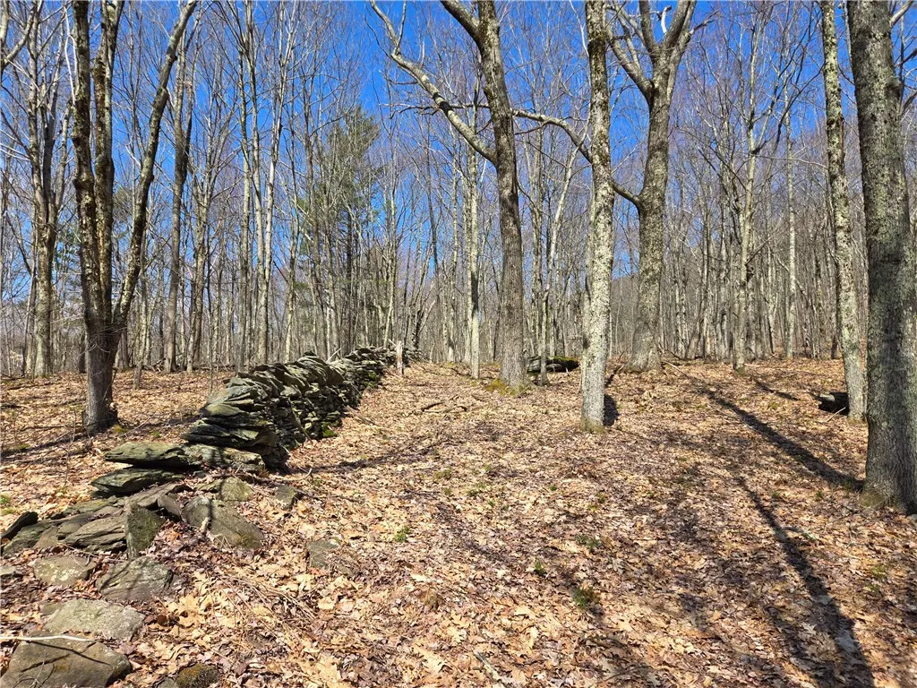 Lot 25 Kara Lane, Bovina, New York 13740, Bovina, New York 13740, ,Land,For Sale,Lot 25 Kara Lane, Bovina, New York 13740,R1602217