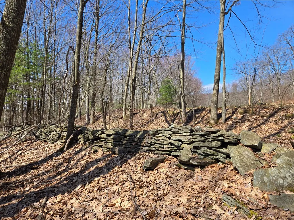 Lot 25 Kara Lane, Bovina, New York 13740, Bovina, New York 13740, ,Land,For Sale,Lot 25 Kara Lane, Bovina, New York 13740,R1602217