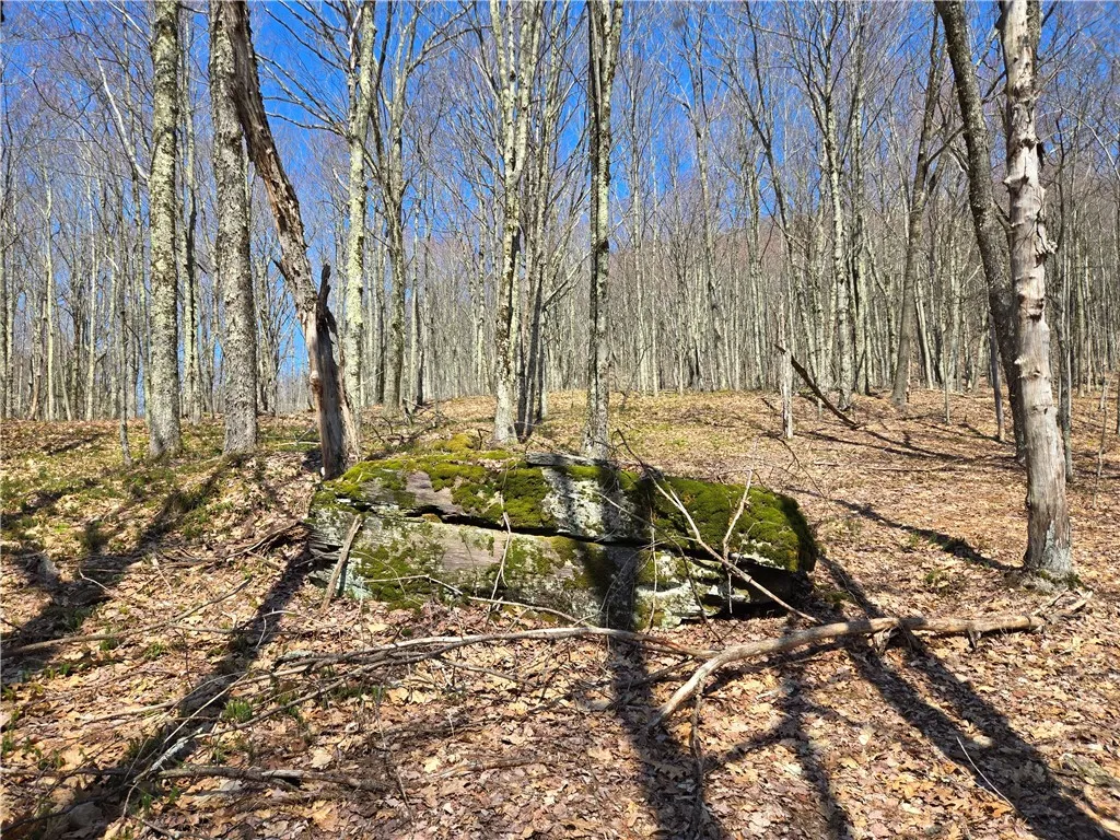 Lot 25 Kara Lane, Bovina, New York 13740, Bovina, New York 13740, ,Land,For Sale,Lot 25 Kara Lane, Bovina, New York 13740,R1602217
