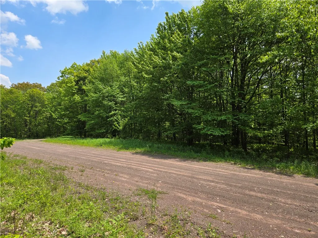 Lot 25 Kara Lane, Bovina, New York 13740, Bovina, New York 13740, ,Land,For Sale,Lot 25 Kara Lane, Bovina, New York 13740,R1602217
