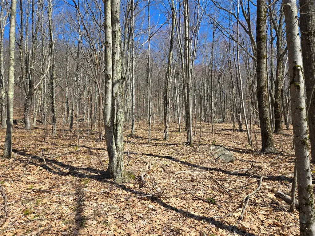 Lot 25 Kara Lane, Bovina, New York 13740, Bovina, New York 13740, ,Land,For Sale,Lot 25 Kara Lane, Bovina, New York 13740,R1602217