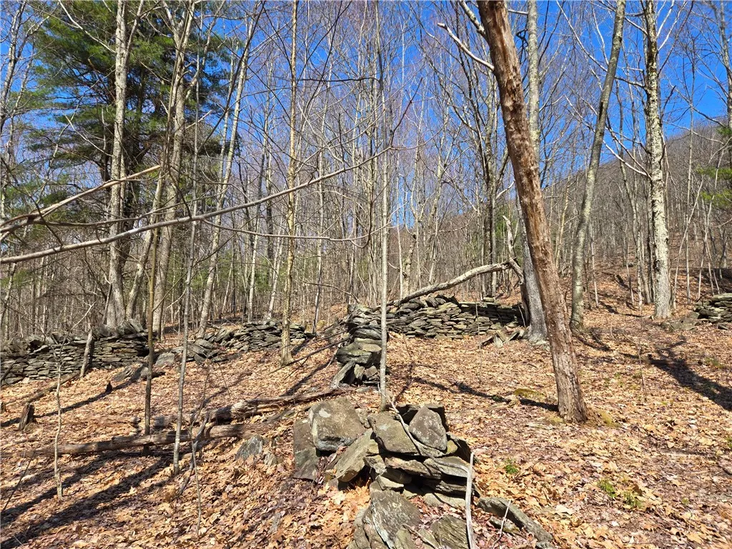 Lot 25 Kara Lane, Bovina, New York 13740, Bovina, New York 13740, ,Land,For Sale,Lot 25 Kara Lane, Bovina, New York 13740,R1602217