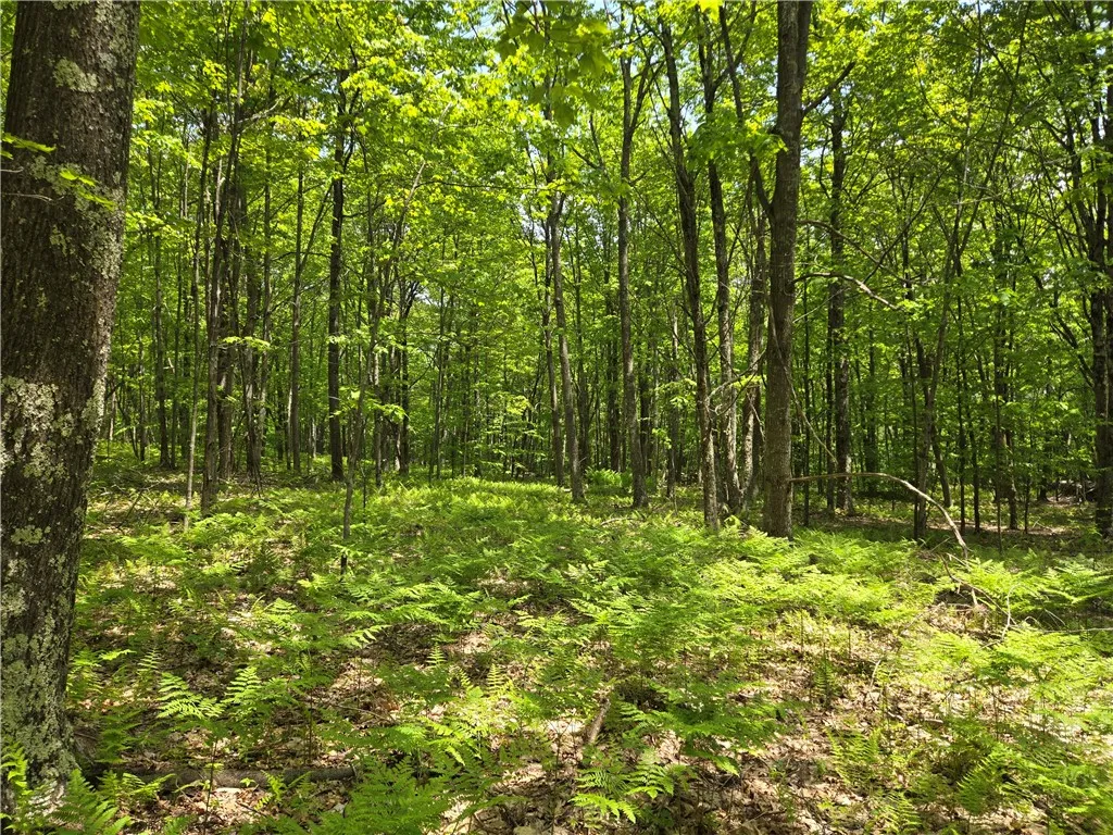 Lot 25 Kara Lane, Bovina, New York 13740, Bovina, New York 13740, ,Land,For Sale,Lot 25 Kara Lane, Bovina, New York 13740,R1602217