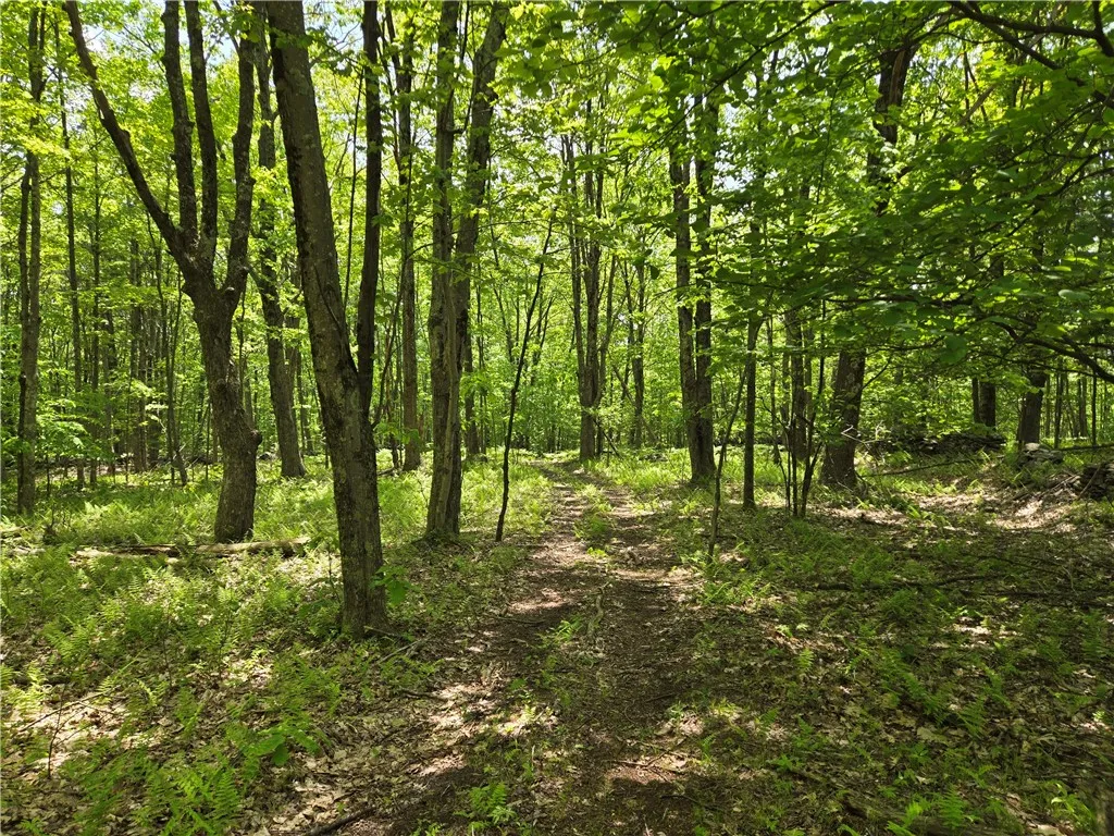 Lot 25 Kara Lane, Bovina, New York 13740, Bovina, New York 13740, ,Land,For Sale,Lot 25 Kara Lane, Bovina, New York 13740,R1602217