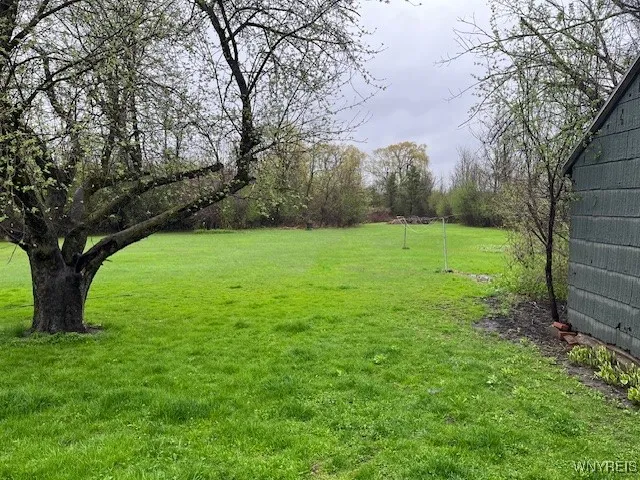 Back yard goes approx 1100' back!