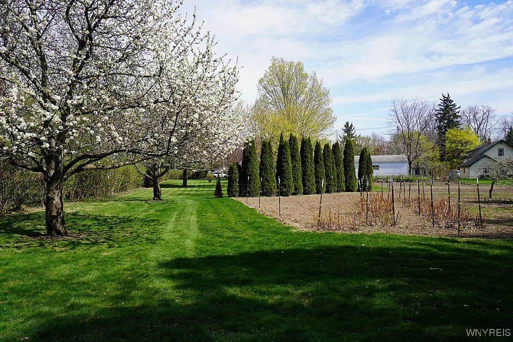 4306 Clark Street, Hamburg, New York 14075, Hamburg, New York 14075, 6 Bedrooms Bedrooms, ,3 BathroomsBathrooms,Residential,Closed,4306 Clark Street, Hamburg, New York 14075,0,B1602601