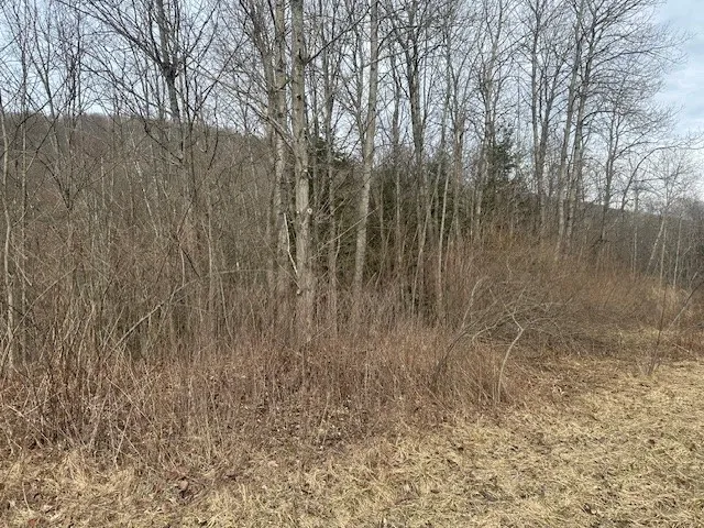 Cr-126, Greenwood, New York 14839, Greenwood, New York 14839, ,Land,Closed,Cr-126, Greenwood, New York 14839,0,R1602202