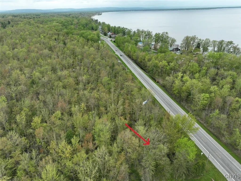 0 Nys Route 13, Vienna, New York 13308, Vienna, New York 13308, ,Land,For Sale,0 Nys Route 13, Vienna, New York 13308,S1601691