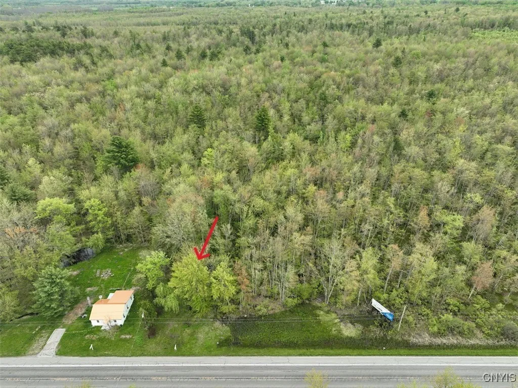0 Nys Route 13, Vienna, New York 13308, Vienna, New York 13308, ,Land,For Sale,0 Nys Route 13, Vienna, New York 13308,S1601691