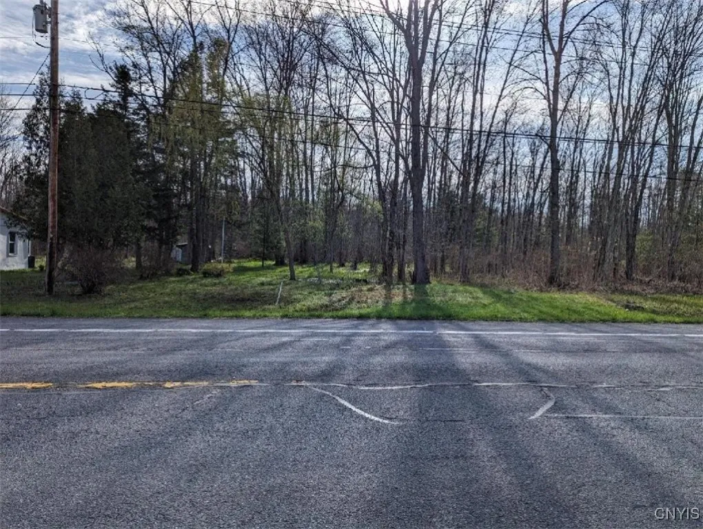 0 Nys Route 13, Vienna, New York 13308, Vienna, New York 13308, ,Land,For Sale,0 Nys Route 13, Vienna, New York 13308,S1601691