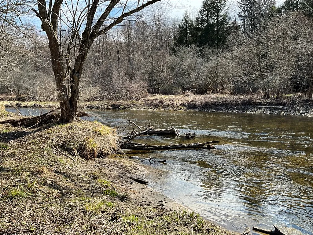 114 Coleman Lane, Smithville, New York 13841, Smithville, New York 13841, ,Commercial Sale,For Sale,114 Coleman Lane, Smithville, New York 13841,0,R1602219