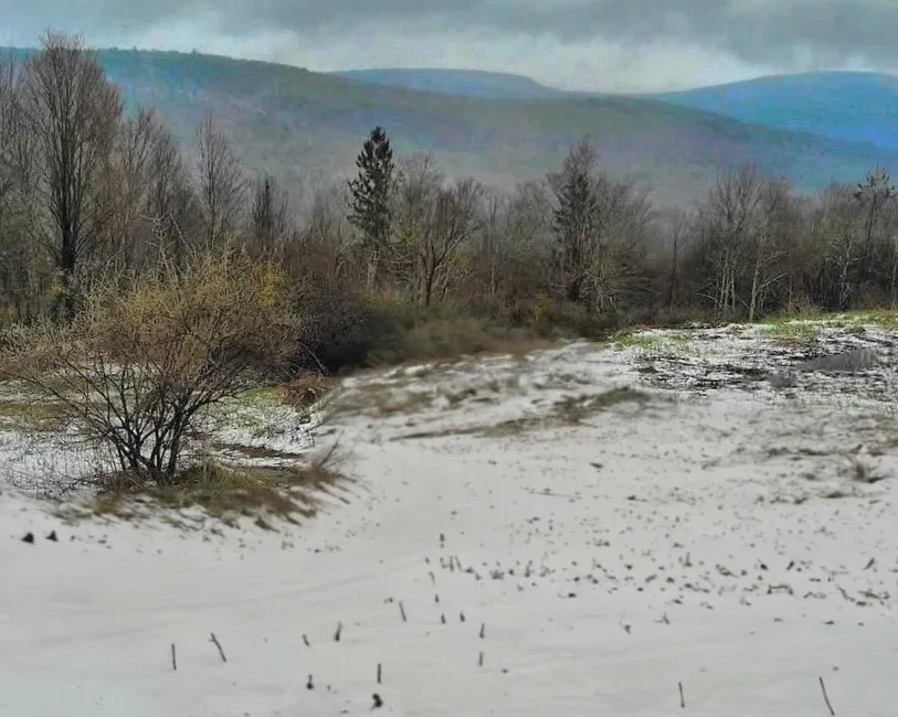 Fox Meadow Lane, Middletown, New York 12455, Middletown, New York 12455, ,Land,For Sale,Fox Meadow Lane, Middletown, New York 12455,0,R1602547