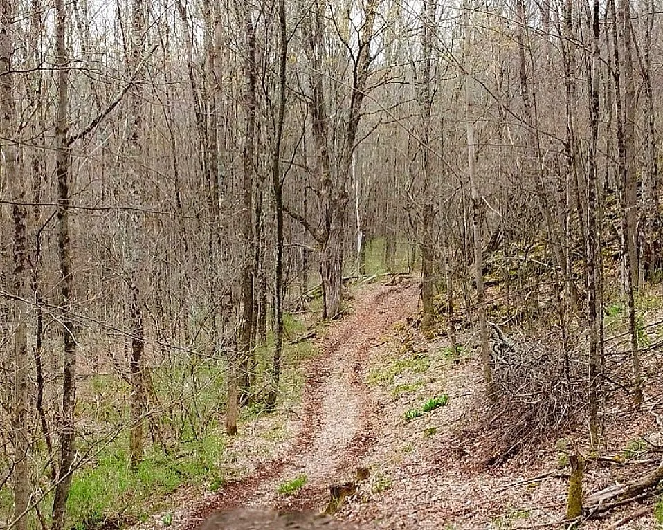 Fox Meadow Lane, Middletown, New York 12455, Middletown, New York 12455, ,Land,For Sale,Fox Meadow Lane, Middletown, New York 12455,0,R1602547