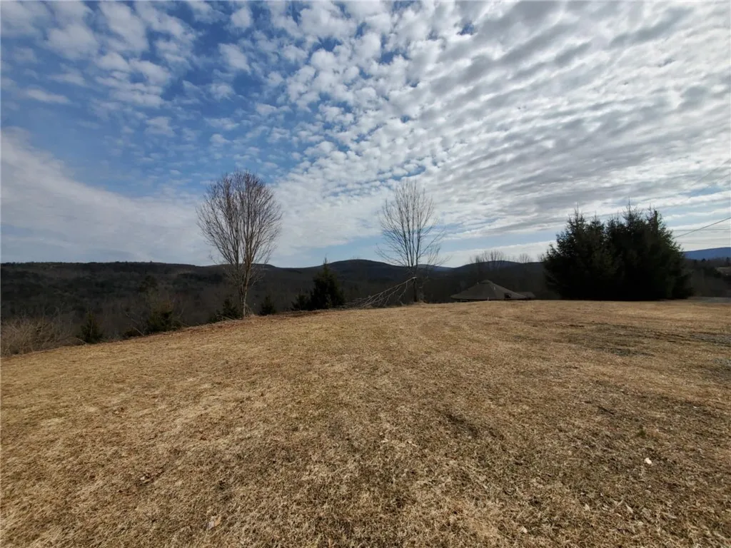 Fox Meadow Lane, Middletown, New York 12455, Middletown, New York 12455, ,Land,For Sale,Fox Meadow Lane, Middletown, New York 12455,0,R1602547