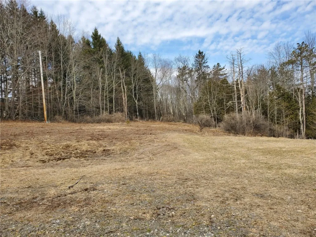 Fox Meadow Lane, Middletown, New York 12455, Middletown, New York 12455, ,Land,For Sale,Fox Meadow Lane, Middletown, New York 12455,0,R1602547