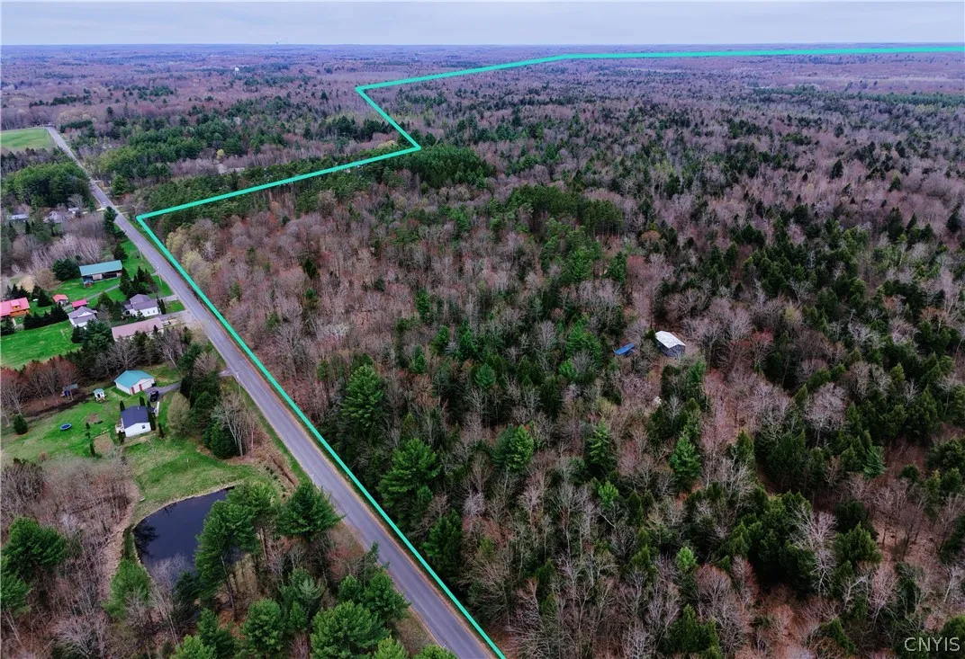 160 Breckheimer Road, West Monroe, New York 13036, West Monroe, New York 13036, ,Land,For Sale,160 Breckheimer Road, West Monroe, New York 13036,0,S1602880
