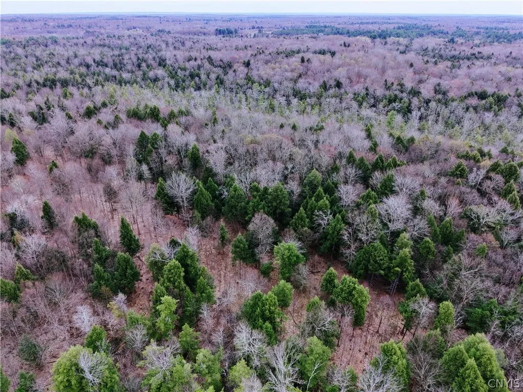 160 Breckheimer Road, West Monroe, New York 13036, West Monroe, New York 13036, ,Land,For Sale,160 Breckheimer Road, West Monroe, New York 13036,0,S1602880