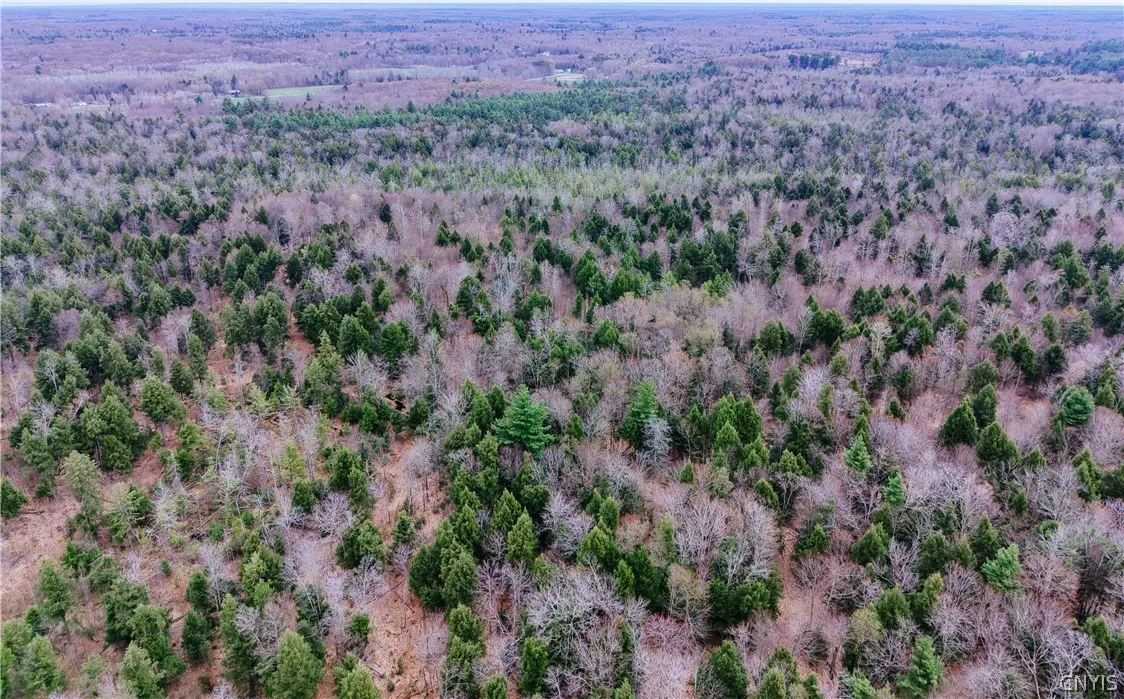 160 Breckheimer Road, West Monroe, New York 13036, West Monroe, New York 13036, ,Land,For Sale,160 Breckheimer Road, West Monroe, New York 13036,0,S1602880
