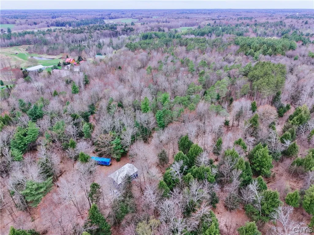 160 Breckheimer Road, West Monroe, New York 13036, West Monroe, New York 13036, ,Land,For Sale,160 Breckheimer Road, West Monroe, New York 13036,0,S1602880