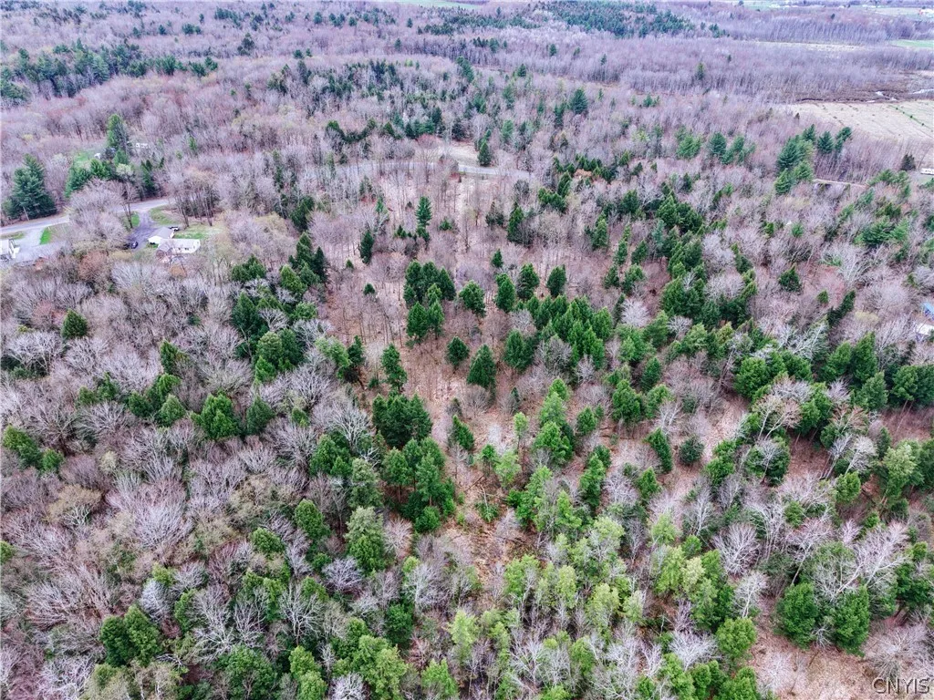 160 Breckheimer Road, West Monroe, New York 13036, West Monroe, New York 13036, ,Land,For Sale,160 Breckheimer Road, West Monroe, New York 13036,0,S1602880