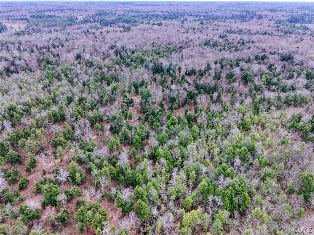 160 Breckheimer Road, West Monroe, New York 13036, West Monroe, New York 13036, ,Land,For Sale,160 Breckheimer Road, West Monroe, New York 13036,0,S1602880