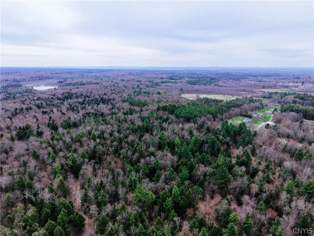 160 Breckheimer Road, West Monroe, New York 13036, West Monroe, New York 13036, ,Land,For Sale,160 Breckheimer Road, West Monroe, New York 13036,0,S1602880