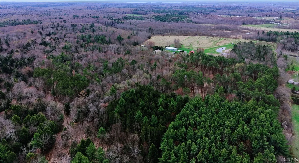 160 Breckheimer Road, West Monroe, New York 13036, West Monroe, New York 13036, ,Land,For Sale,160 Breckheimer Road, West Monroe, New York 13036,0,S1602880