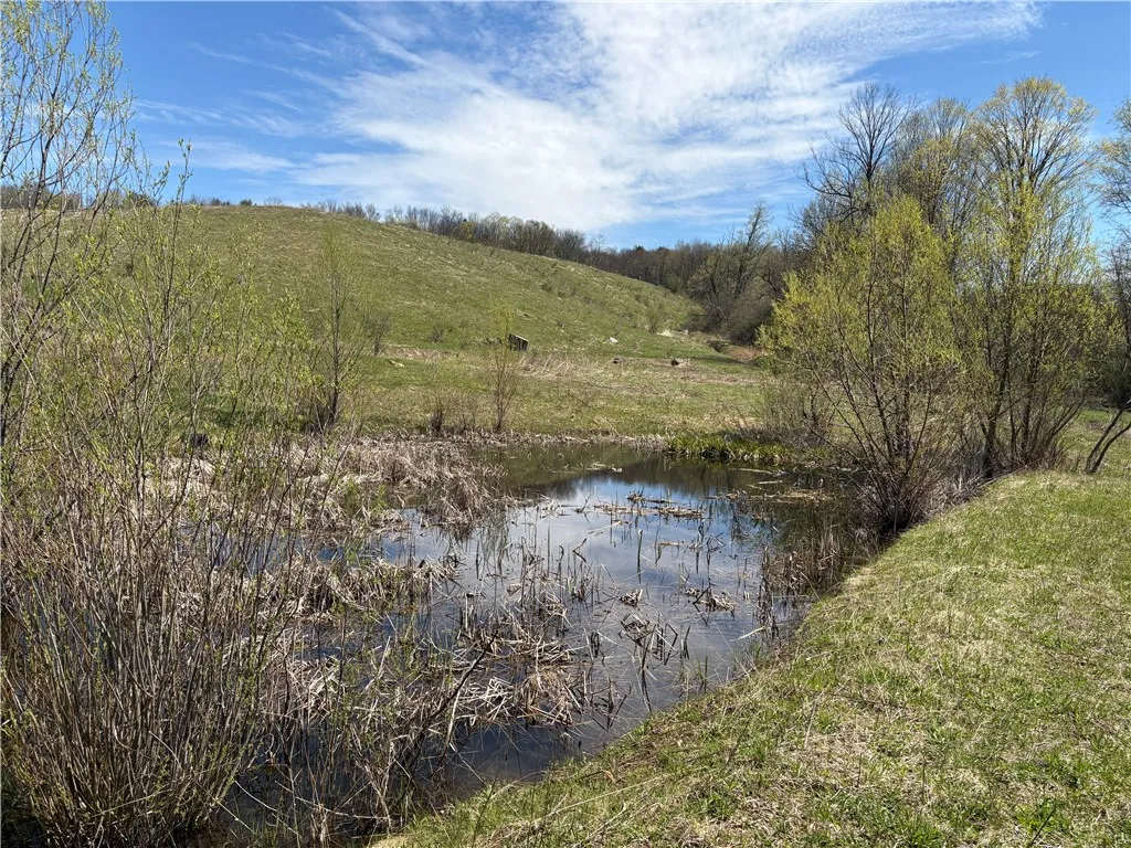 County Road 46 Lower Ravine Road, Norwich-town, Ne, Norwich, New York 13815, ,Land,For Sale,County Road 46 Lower Ravine Road, Norwich-town, Ne,0,R1602659