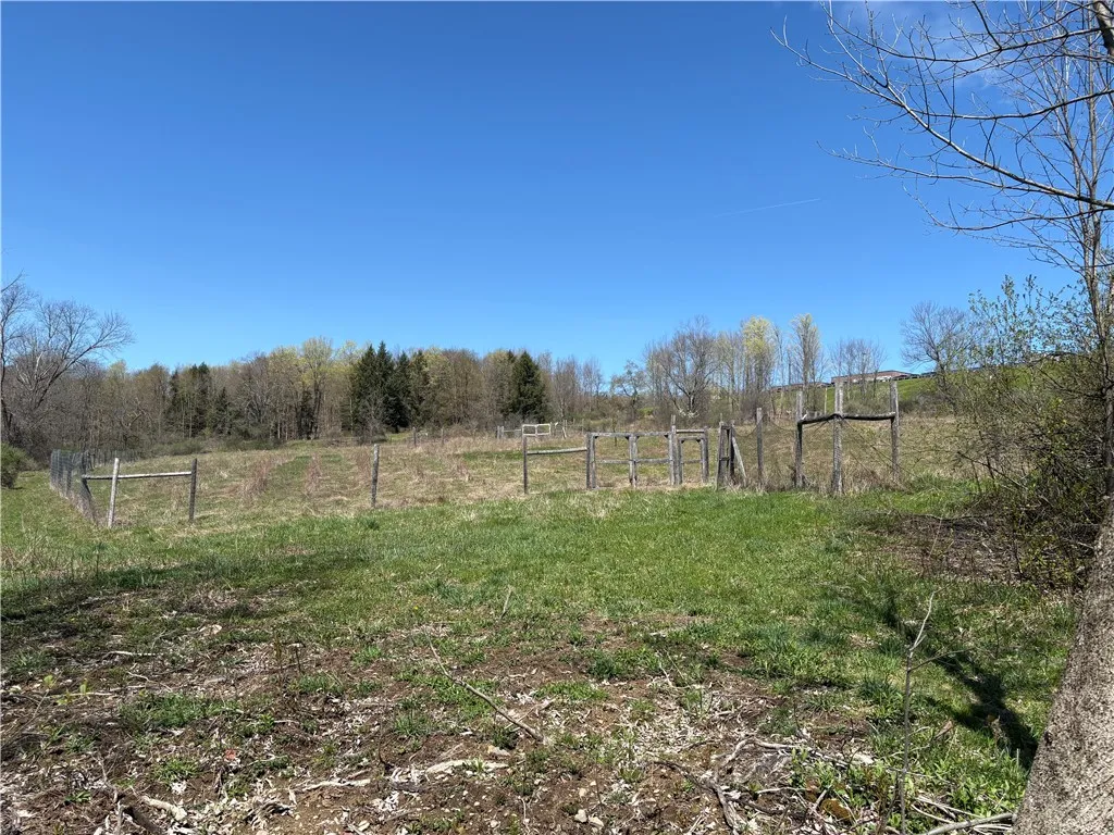 County Road 46 Lower Ravine Road, Norwich-town, Ne, Norwich, New York 13815, ,Land,For Sale,County Road 46 Lower Ravine Road, Norwich-town, Ne,0,R1602659