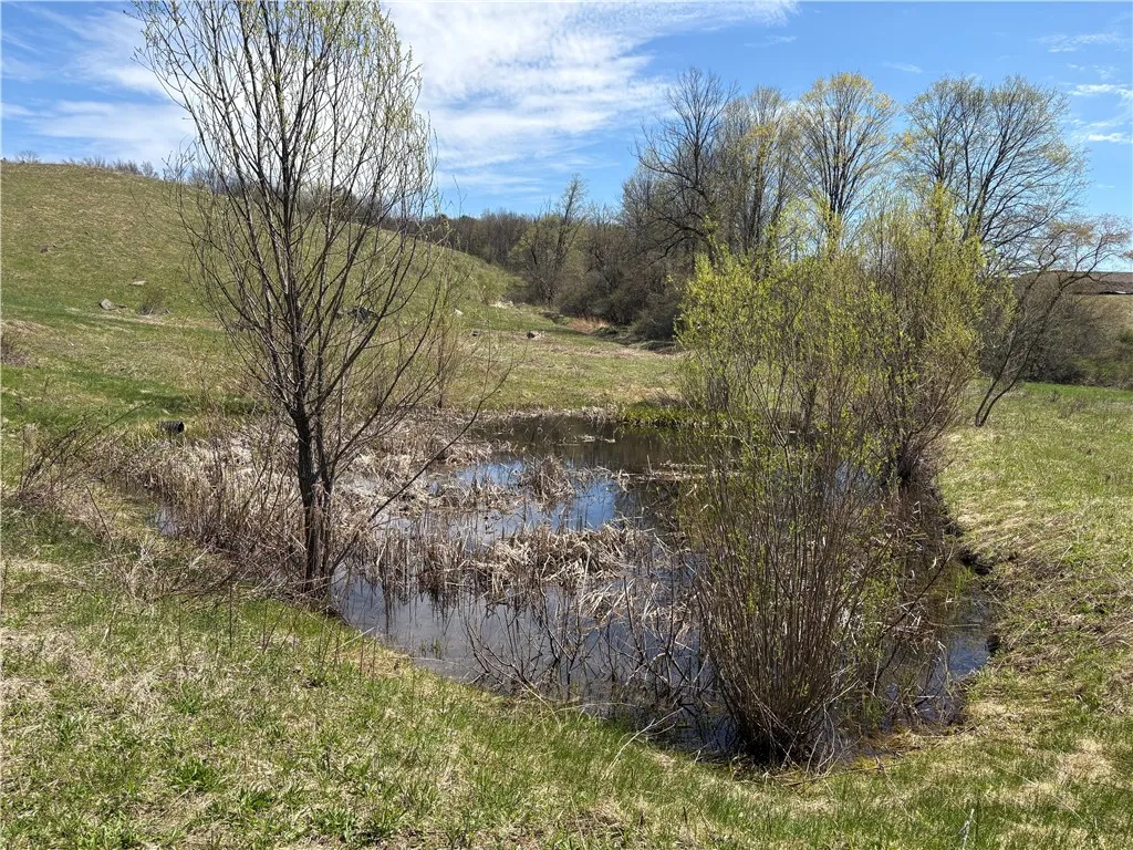 County Road 46 Lower Ravine Road, Norwich-town, Ne, Norwich, New York 13815, ,Land,For Sale,County Road 46 Lower Ravine Road, Norwich-town, Ne,0,R1602659
